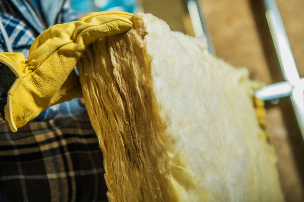 Best Insulation Maintenance and Repair in Hamlet, NC